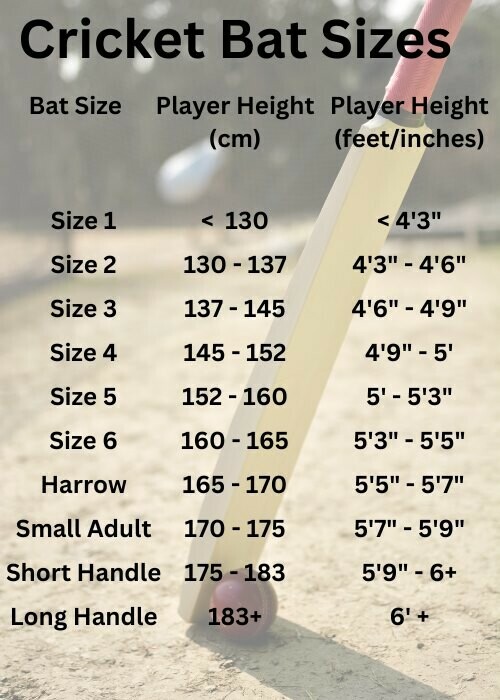 Understanding Cricket Bat Sizes For Junior And Senior Players