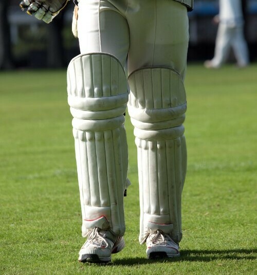 Cricket pads for adults