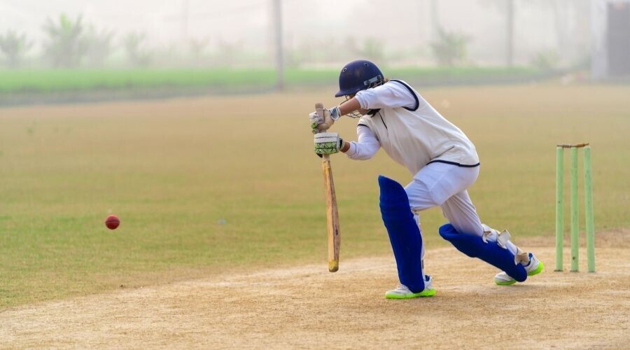 cricket drive batting drill