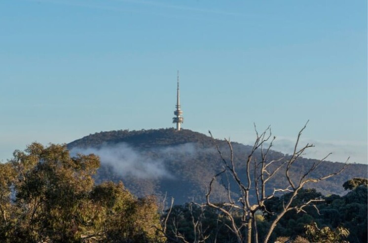 Black Mountain Nature Reserve